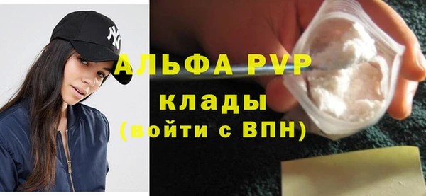 твердый Гусев