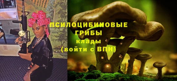 кокаин перу Вяземский