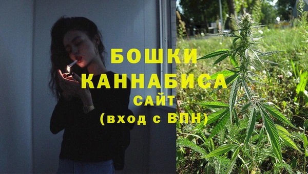 гидра Вязники