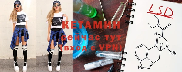 дживик Володарск