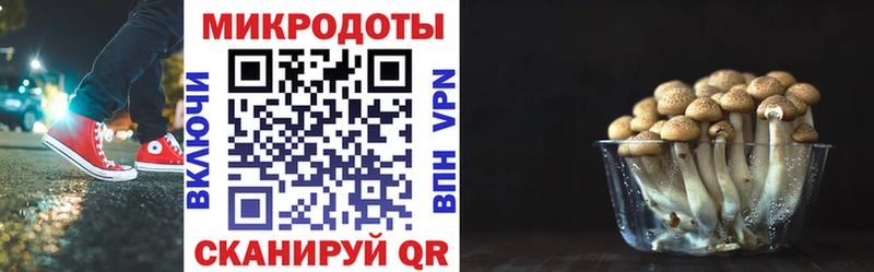 как найти закладки  Десногорск  Галлюциногенные грибы мухоморы 